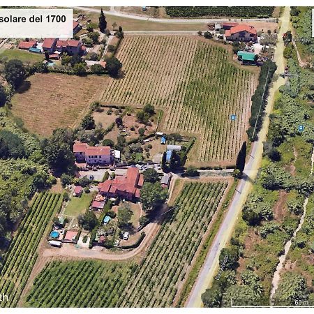 Le Rose , Relax In Casolare Del 1700 Leilighet Sarzana Eksteriør bilde