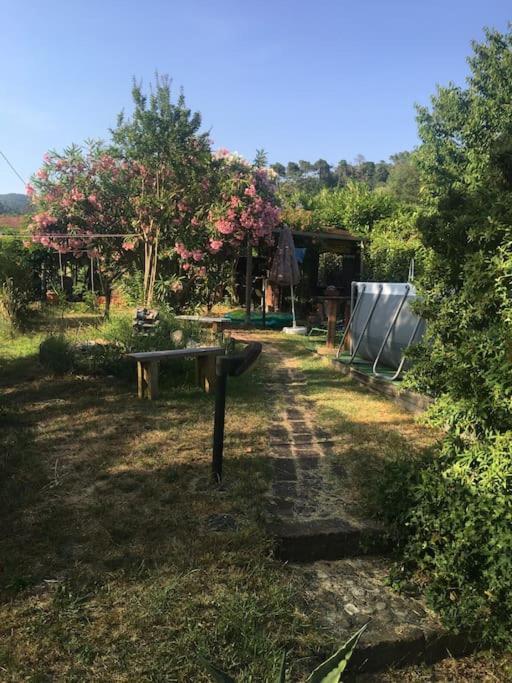 Le Rose , Relax In Casolare Del 1700 Leilighet Sarzana Eksteriør bilde