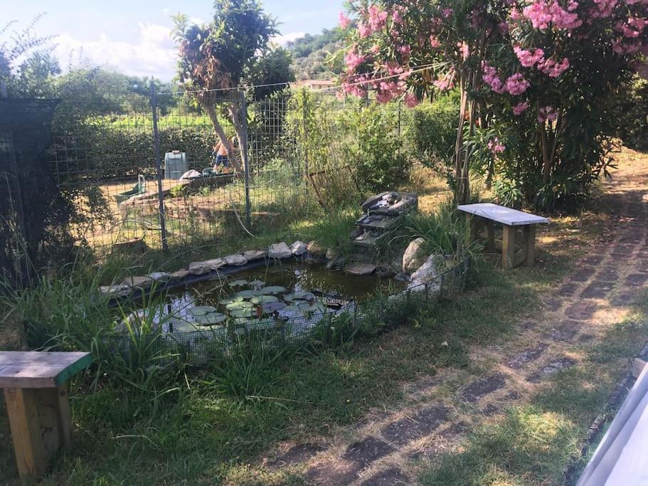 Le Rose , Relax In Casolare Del 1700 Leilighet Sarzana Eksteriør bilde